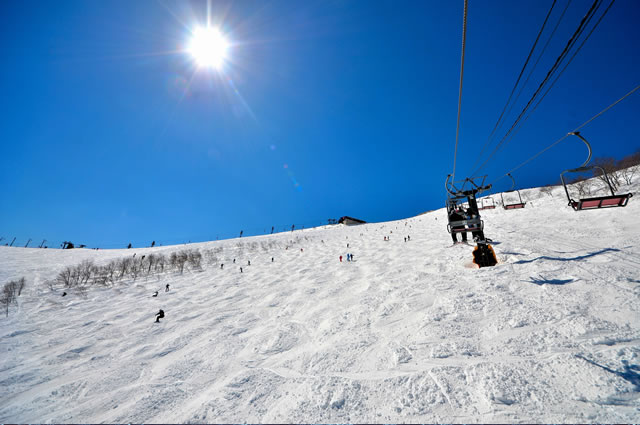 スキー研修-冬季-
